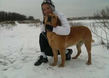 Тимошенко терміново шукає новий образ.