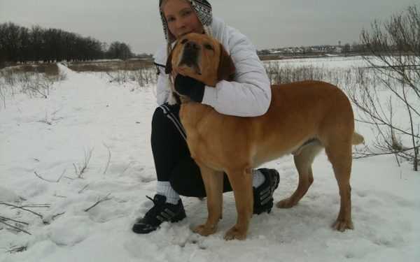 Тимошенко терміново шукає новий образ.