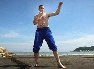 Девід Прайс: « Піде Хей і брати Клички, і я стану чемпіоном світу»