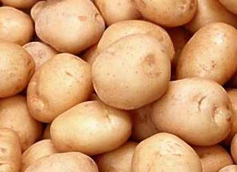 Картопля може бути включена до продуктів, з яких виготовляється біопаливо