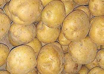 Росія викупила увесь запас картоплі