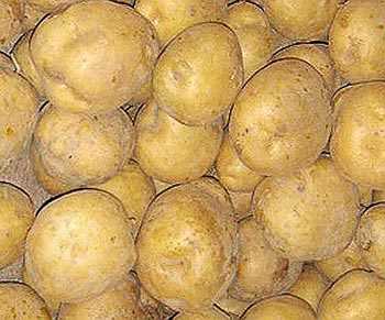 Росія викупила увесь запас картоплі