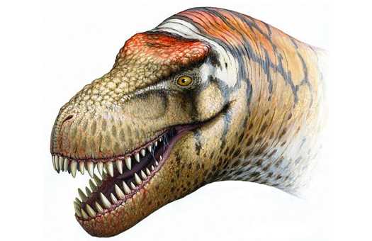 У Китаї виявили останки нового виду динозаврів Zhuchengtyrannus magnus