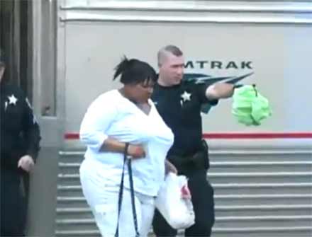 Американку зняли з потягу за 16-годинну розмову по мобільному