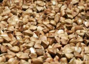 Україна отримала другу партію китайської гречки