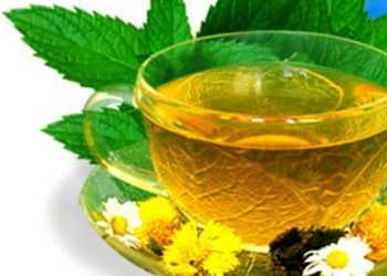 Зелений чай вберігає організм від комп'ютерної радіації