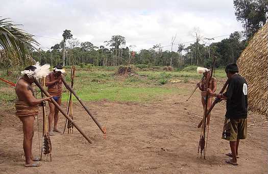 У мові індіанців амондава немає поняття часу