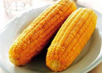 Чи спроможна Україна заробити на кукурудзі?