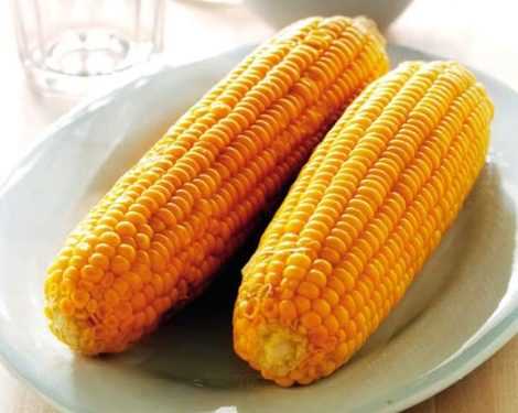 Чи спроможна Україна заробити на кукурудзі?