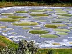 У Канаді знаходиться єдине плямисте озеро