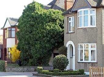 Плющ знизив ціну будинку на 230 тисяч фунтів