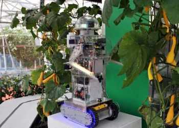 Робот-садівник слідкує за розвитком рослин