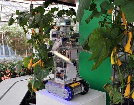 Робот-садівник слідкує за розвитком рослин