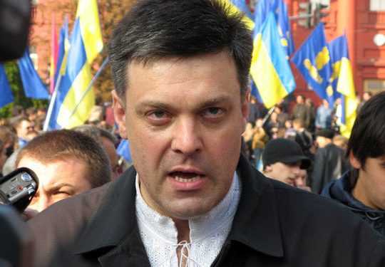 ВО «Свобода» - дуже вдалий проект Партії регіонів? ..