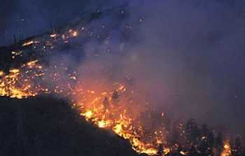 Містам Нью-Мексико загрожує радіоактивний дим від пожежі, що трапилась у неділю