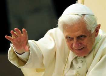 Україна подарує Папі Римському різдвяну ялинку