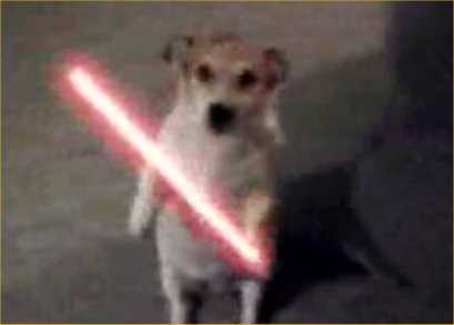 Зоозахисники взялися за мобільні ігри