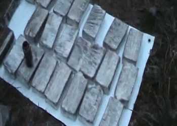 Україна і Туреччина перекрили постачання гашишу в Європу