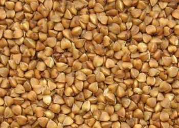 Джарти наїхав на Азарова за гречку