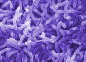 У Маріуполі - новий випадок холери