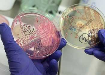 Кишкова інфекція виявлена ??біля кордонів України, - ЗМІ