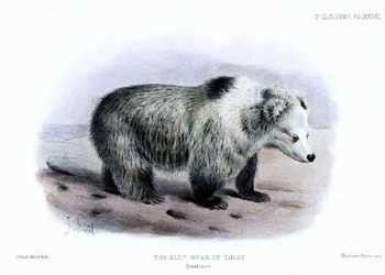 У Швейцарії продали