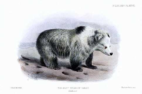 У Швейцарії продали