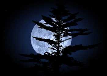 Ми його втрачаємо! Місяць може стати планетою.