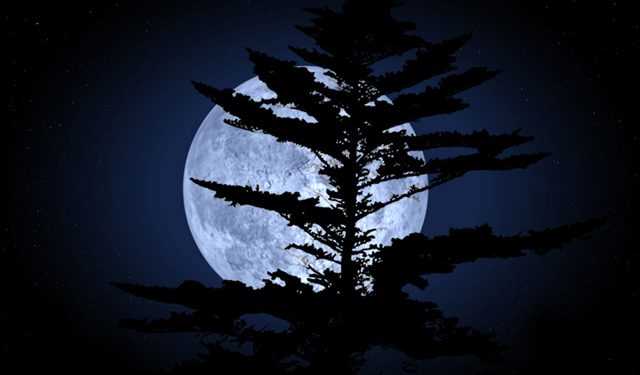 Ми його втрачаємо! Місяць може стати планетою.