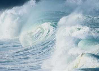 Життя Світового океану зміниться назавжди