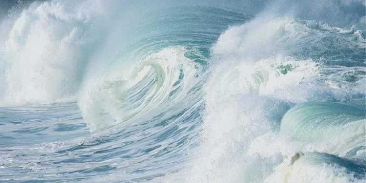 Життя Світового океану зміниться назавжди