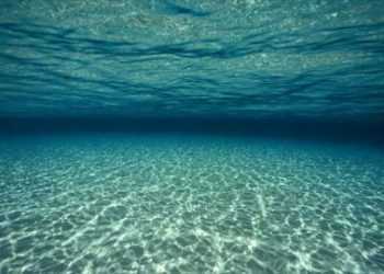 Google покаже дно океану