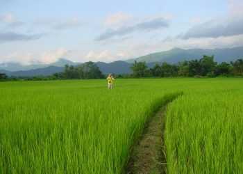 В Україні шукають землю Каддафі