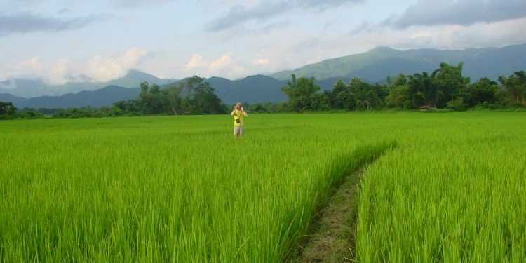 В Україні шукають землю Каддафі