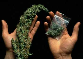 Водій продавав