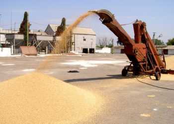 Янукович хоче продавати Китаю більше зерна, молока і цукерок