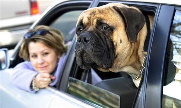 Британці відмовляються від автомобілів