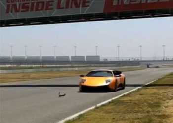 Білка проти Lamborghini