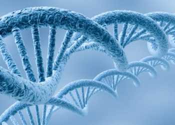 Вчені вивели бактерію з отруйною ДНК