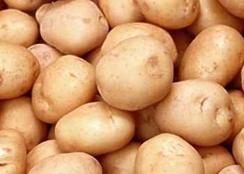 Розшифровано геном картоплі