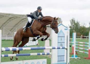 Україна вперше буде представлена ??на Олімпіаді в змаганнях з кінного спорту