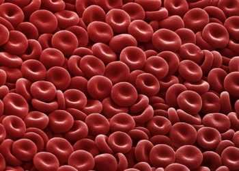 Гризуна вперше вилікували від гемофілії за допомогою генної корекції