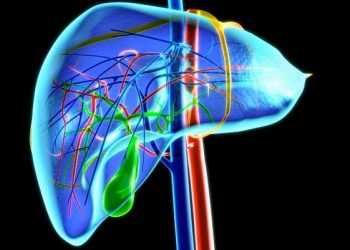 Рак печінки пов'язаний з чоловічими статевими гормонами