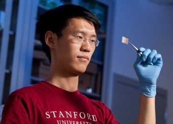 Винайдено прозору батарею