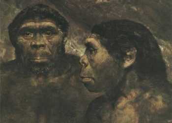 Древня людина сінатроп не вміла розмовляти