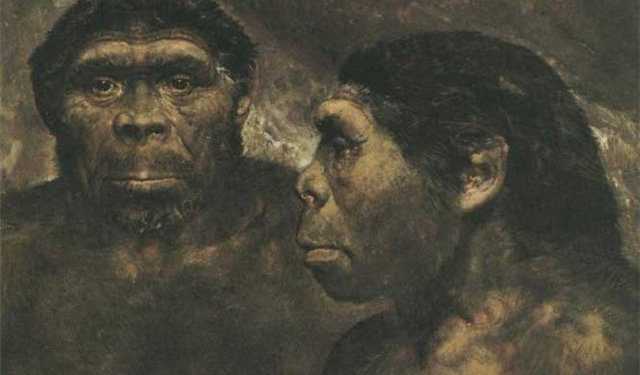 Древня людина сінатроп не вміла розмовляти