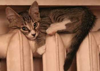 Створено терморегулюючий будматеріал