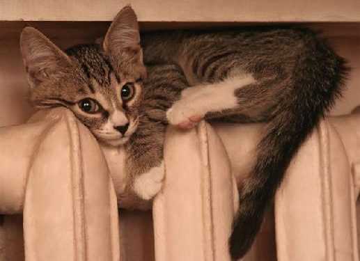 Створено терморегулюючий будматеріал