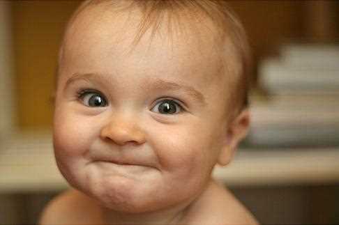 П'ятірка найпопулярніших курйозів