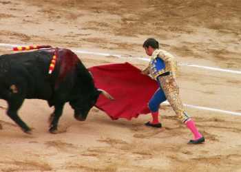 Іспанія законодавчо визнала кориду видом мистецтва